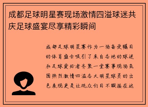 成都足球明星赛现场激情四溢球迷共庆足球盛宴尽享精彩瞬间