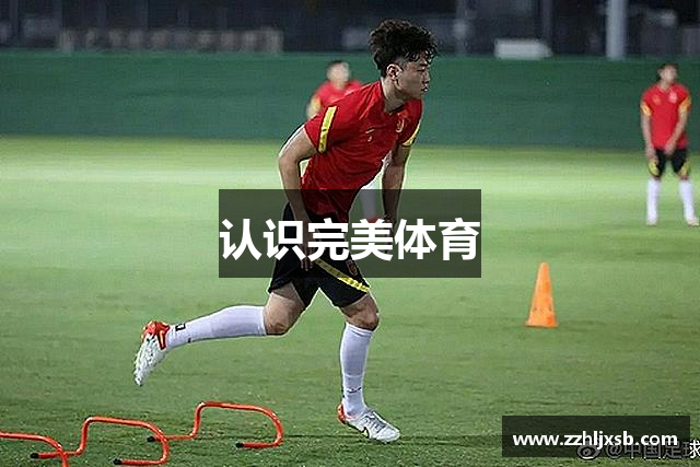 认识完美体育